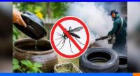 පළාත් හතක, අද සිට විශේෂ මදුරු මර්දන සතියක්